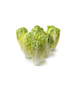 MAQ THICK BLEACH FLORAL BURST 20X750ML