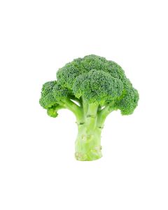 Esprit Apple Cherry 24 x 275ml NRB