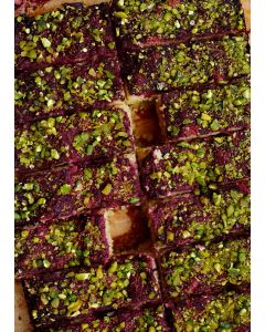 Debello Rat and Mice Glue