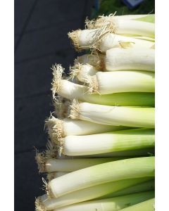 Stella Artois Cans 24 x 410ml