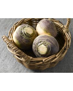 Savanna Dry Cans 24 x 500ml