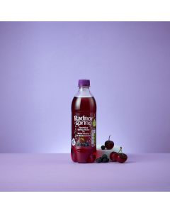 Oblea Sinfonia 100G Choco